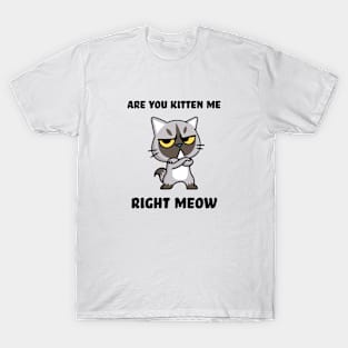 Are you kitten me right meow T-Shirt